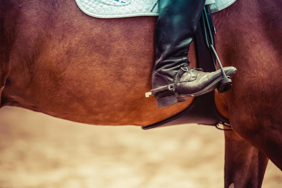 A rider’s boot resting in the stirrup of a chestnut horse